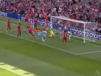 John Brook Cody Gakpo